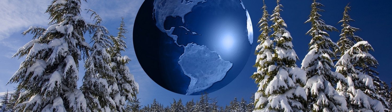 Gli alberi di Natale più amici della terra e a minore impatto ambientale? Sono veri, di provenienza locale e cresciuti in foreste gestite in modo responsabile, meglio se in possesso di una delle certificazioni forestali. Foto di Gerd Altmann da Pixabay