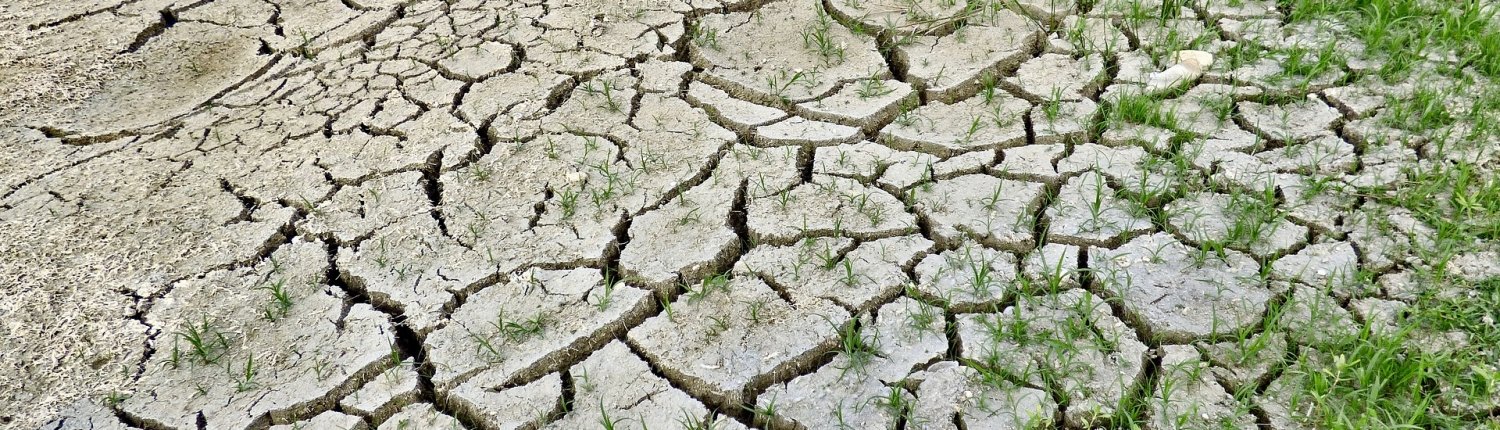 siccità desertificazione cambiamenti climatici