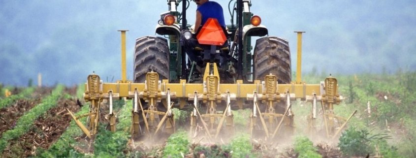 La Soil Science Society of America chiede al governo di aiutare gli agricoltori USA ad operare nel mercato del carbonio. Foto: Meridith Nalls CC0 Public Domain Free for commercial use. No attribution required.