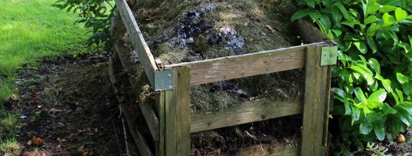 Recycling organic waste and returning it back to the soil is an essential strategy for the circular bioeconomy. Photo: Pixi.org CC0 Public Domain. Free for commercial use. No attribution required