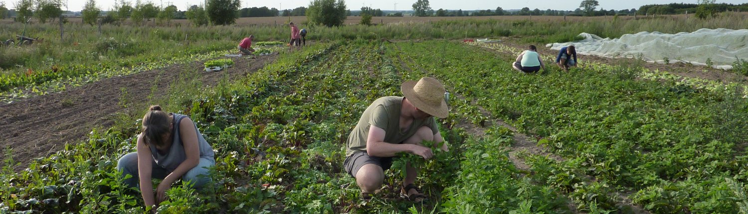 L’EJP SOIL Programme UE punta a sviluppare soluzioni per una gestione intelligente dei suoli agricoli a tutela del clima