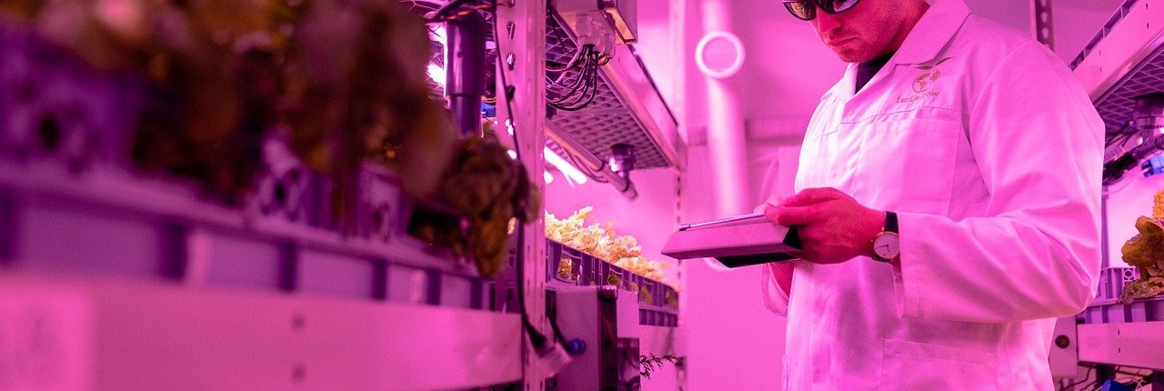 Il programma PRIMA nasce con l'obiettivo di sostenere i progetti più innovativi di ricerca in favore delle innovazioni del comparto agroalimentare europeo e mediterraneo.