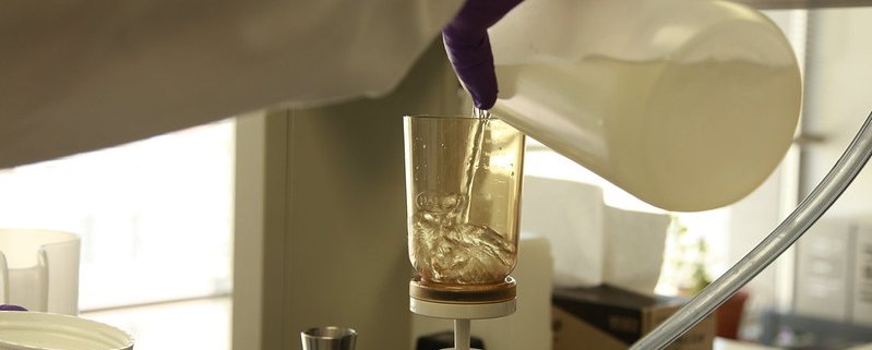 L'eDNA offre vantaggi evidenti rispetto alle altre tecniche di rilevazione applicate all'ecosistema del suolo. Foto: U.S. Army, Jessica Vandrick Attribution-NonCommercial 2.0 Generic (CC BY-NC 2.0)