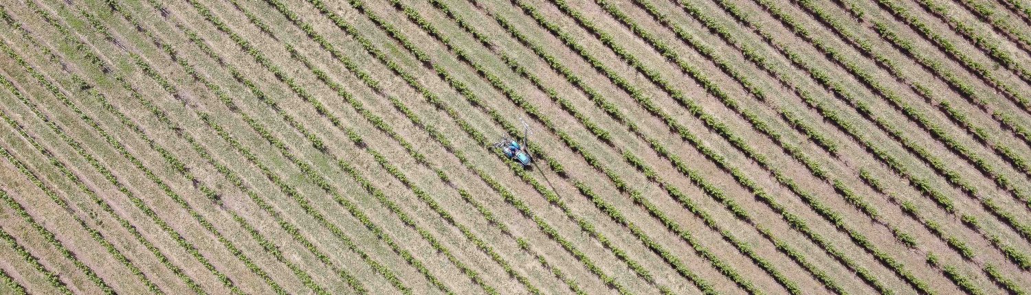 agricoltura desertificazione fertilizzanti eberle desertificazione suolo