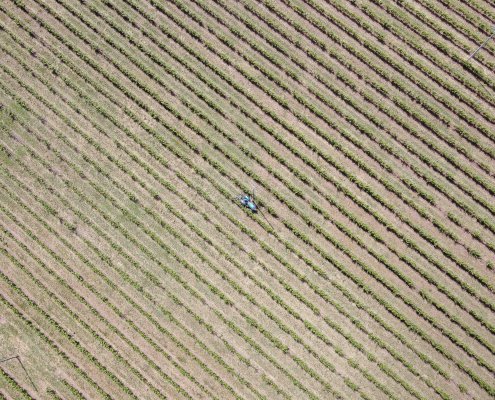 agricoltura desertificazione fertilizzanti eberle desertificazione suolo