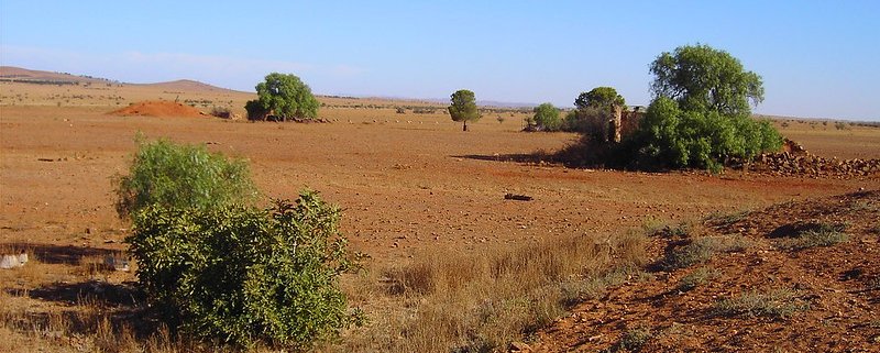 The circular strategy of recovering organic waste can help increase the fertility of Australian soils, which are among the driest in the world. Photo: denisbin Attribution-NoDerivs 2.0 Generic (CC BY-ND 2.0)