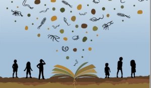 La biodiversità e la ricchezza del suolo protagoniste del progetto editoriale della FAO. Immagine: FAO Attribution-NonCommercial-ShareAlike 3.0 IGO (CC BY-NC-SA 3.0 IGO)