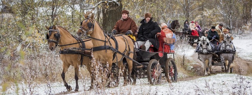La Russia ospita 640 miliardi di alberi e un quinto delle foreste del Pianeta. Foto: John Kopiski Pixabay License Libera per usi commerciali Attribuzione non richiesta