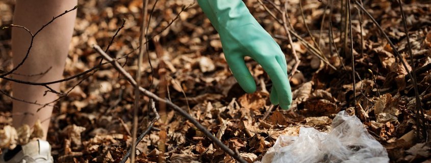 Pochi dati e una sola certezza, spiega la FAO: lìinquinamento del suolo è una delle minacce globali più pericolose. Foto: Pixabay License Free for commercial use No attribution required