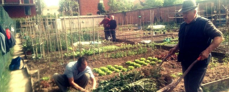 Orti ma non solo. La crisi economica generata dal Covid-19 ha spinto 4 italiani su 10 a dedicarsi a una qualche forma di agricoltura urbana. Foto: Comune di Reggio Emilia Attribution-NonCommercial-NoDerivs 2.0 Generic (CC BY-NC-ND 2.0)