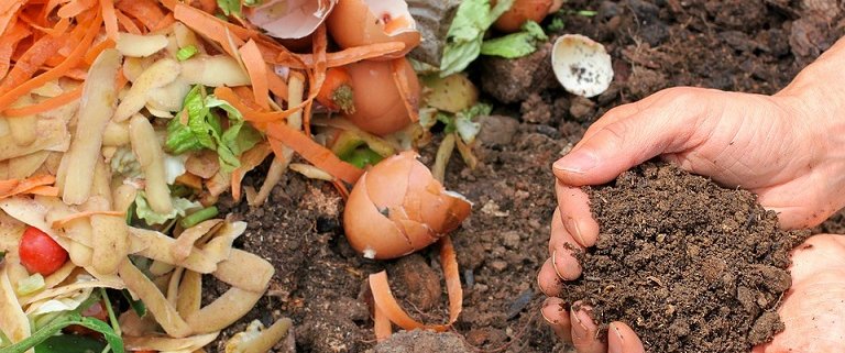 L'uso degli scarti alimentari è essenziale per a produzione del compost. Foto: Max Pixel CC0 Public Domain Free for commercial use Link referral required https://www.maxpixel.net/Ecology-Waste-Fertilizer-Compost-Garden-Nature-6053136