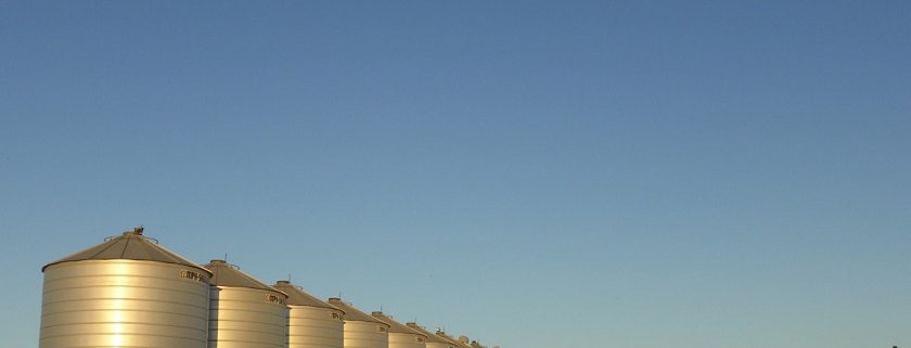 Global subsidies to agriculture are worth $540 billion, or 15% of production value. Agribusiness remains the main beneficiary. Photo: Pxhere CC0 Public Domain Free for personal and commercial use No attribution required