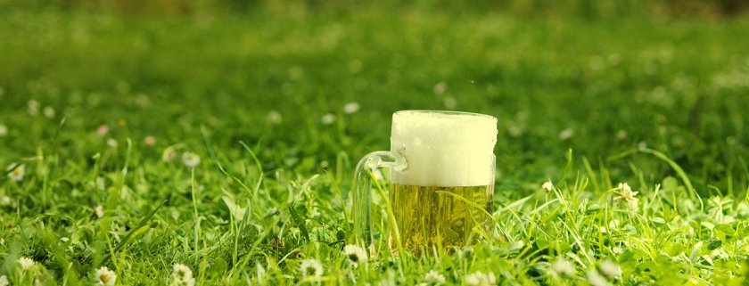 Gli scarti della birra possono contribuire all'eliminazione di organismi parassitari nel terreno favorendo la crescita della resa agricola. Foto: CC0 Public Domain Free for personal and commercial use No attribution required