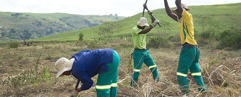 Land and ecosystem restoration is a key strategy for achieving the Sustainable Development Goals, UN says. Photo: Douwes Attribution-ShareAlike 4.0 International (CC BY-SA 4.0)