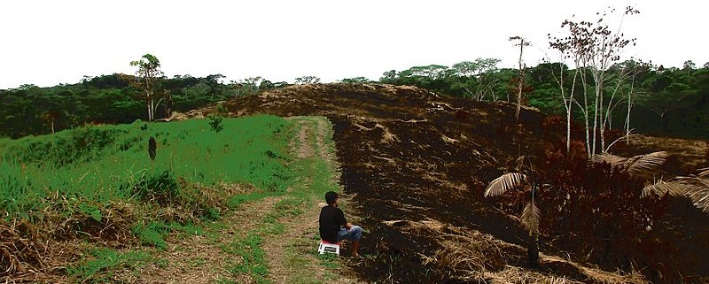 La perdita di biodiversità nella natura fa crescere il divario tra Paesi, gruppi sociali e generazioni. Foto: LLs Attribution-ShareAlike 4.0 International (CC BY-SA 4.0)