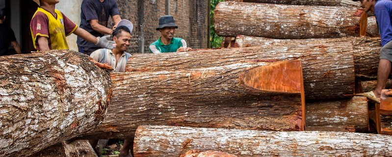 In Indonesia, le emissioni derivanti dal cambiamento dell'uso del suolo e dal settore forestale hanno contribuito a quasi la metà delle emissioni del Paese negli ultimi 20 anni. Foto: Deanna Ramsay/CIFOR Attribution-NonCommercial-NoDerivs 2.0 Generic (CC BY-NC-ND 2.0)
