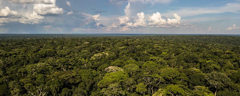 Without new agricultural practices, the Yangambi territory in the Democratic Republic of Congo is at risk of increasing deforestation. Photo: Axel Fassio/CIFOR Attribution-NonCommercial-NoDerivs 2.0 Generic (CC BY-NC-ND 2.0)