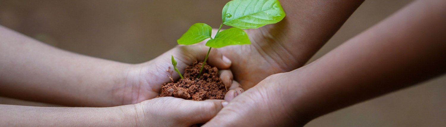 La salute del suolo è alla base della transizione ecologica. FOTO: shameersrk via Pixabay.