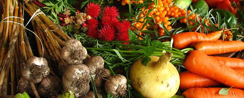 The biointensive method aims to maximize agricultural yields at a lower input of resources. Photo: Elina Mark Attribution-ShareAlike 3.0 Unported (CC BY-SA 3.0)