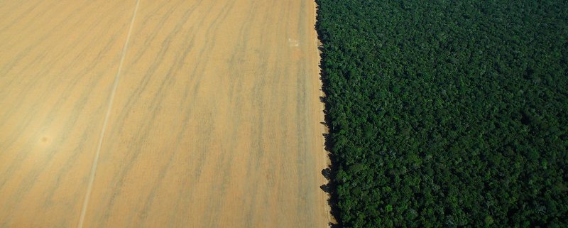 In 2021 deforestation in the Amazon reached its highest level in 15 years. Photo: GRID-Arendal resources library, Riccardo Pravettoni Attribution-NonCommercial-ShareAlike 2.0 Generic (CC BY-NC-SA 2.0)