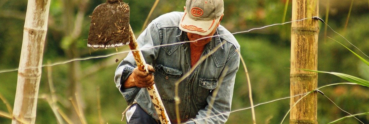 La società di consulenza statunitense McKinsey ha calcolato le implicazioni dell'obiettivo "Net Zero" per i principali settori produttivi, in termini di costi e posti di lavoro. Per rendere più efficienti le attività agricole e gli usi del suolo necessari ingenti risorse. Ma i risultati ripagheranno lo sforzo, anche per il numero di occupati