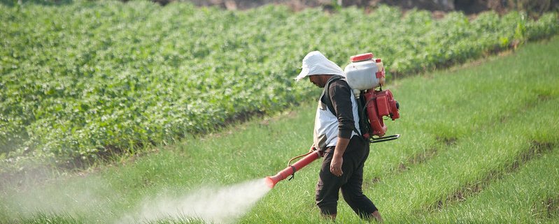 The banned pesticides have been exported to 20 countries. Photo: Hamish John Appleby (IWMI) Attribution-NonCommercial-NoDerivs 2.0 Generic (CC BY-NC-ND 2.0)