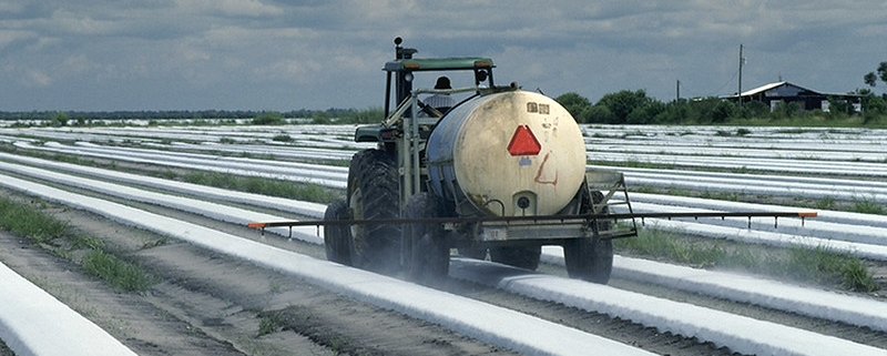 Negli Stati Uniti il settore dei mangimi utilizza ogni anno oltre 100.000 tonnellate di pesticidi. Foto: U.S. Department of Agriculture Public Domain Mark 1.0