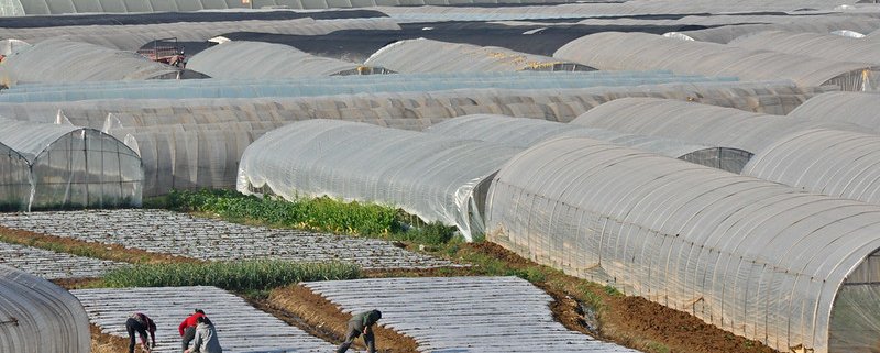 The excessive use of plastics in agriculture poses a threat to soil health and biodiversity. Photo: Asian Development Bank General Photos: People's Republic of China Attribution-NonCommercial-NoDerivs 2.0 Generic (CC BY-NC-ND 2.0)