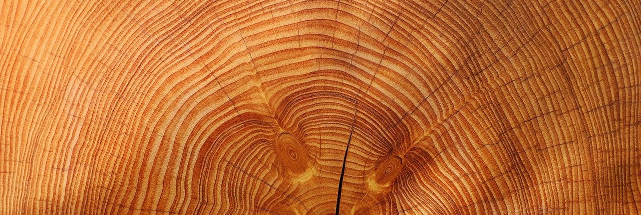 I prodotti derivanti dalle materie prime rinnovabili offerti dalle foreste, come il legno, sono importanti per lo sviluppo della bioeconomia e per centrare alcuni degli Obiettivi di Sviluppo Sostenibile ONU. FOTO: Pixabay.