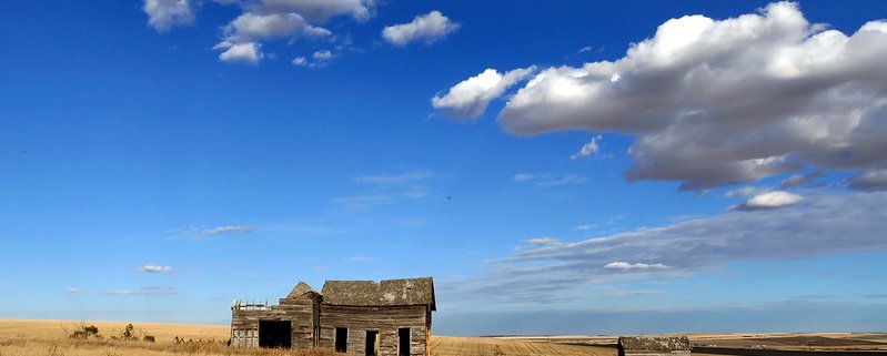 By protecting its vast grasslands, Canada can reduce carbon emissions and meet its climate goals: Photo: Bernard Spragg CC0 1.0 Universal (CC0 1.0) Public Domain Dedication