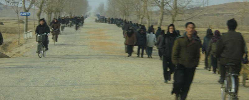 According to German broadcaster DW, the two Koreas could launch a joint effort to fight deforestation. Photo: Jensowagner Attribution 2.0 Generic (CC BY 2.0)