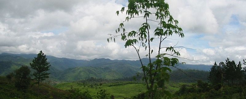 The Rio Plátano reserve, in the region of La Mosquitia, Honduras, is one of the areas most affected by deforestation as a result of narcos activities. Photo: Marc Patry Attribution-ShareAlike 3.0 IGO (CC BY-SA 3.0 IGO)