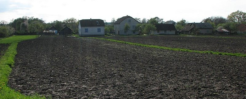 Ukraine is home to a quarter of the global černozëm, a hyper fertile soil that guarantees high yields. Photo: Jackie Riceman Attribution 2.0 Generic (CC BY 2.0)