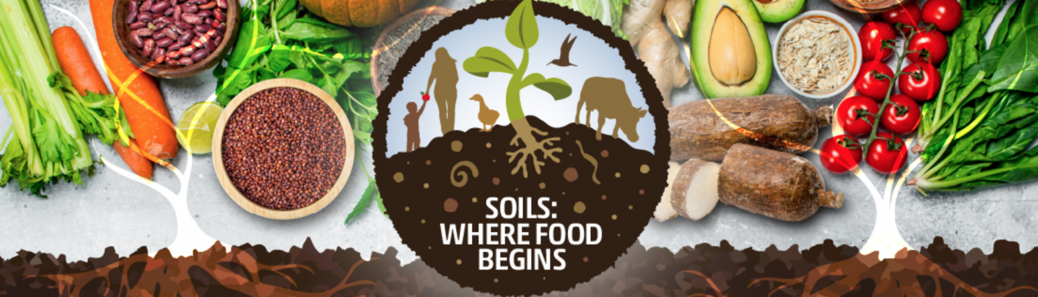 FAO's Global Symposium on Soils for Nutrition will be held in virtual format between 26 and 29 July 2022.