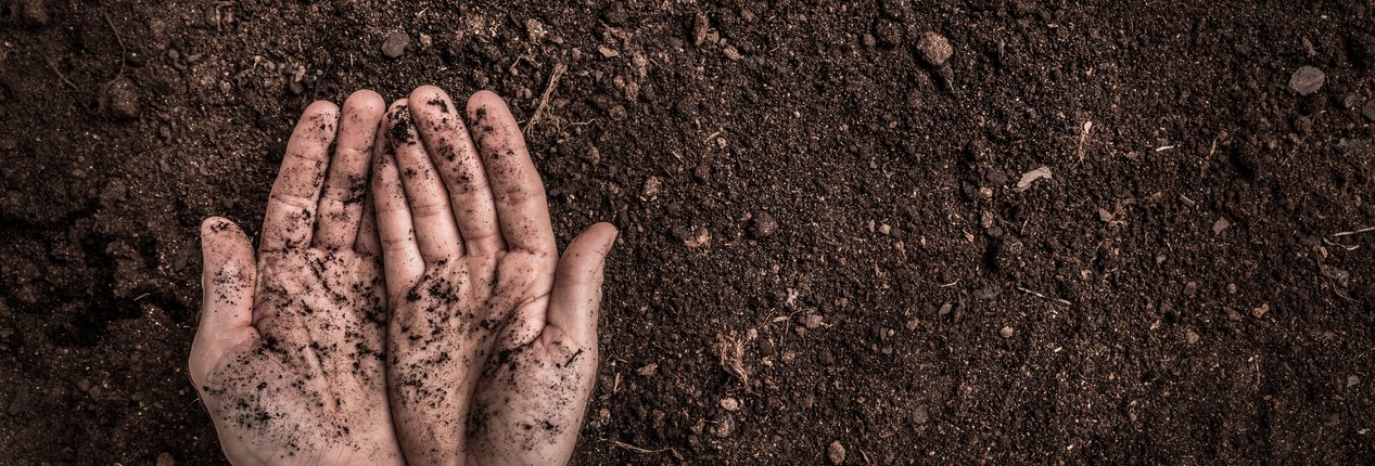 L'uso del biochar e le azioni di carbon farming sono due preziosi alleati nella sfida per riportare sostanza organica nei suoli e usarli come serbatoi di carbonio, da sottrarre all'atmosfera. FOTO: Istock.