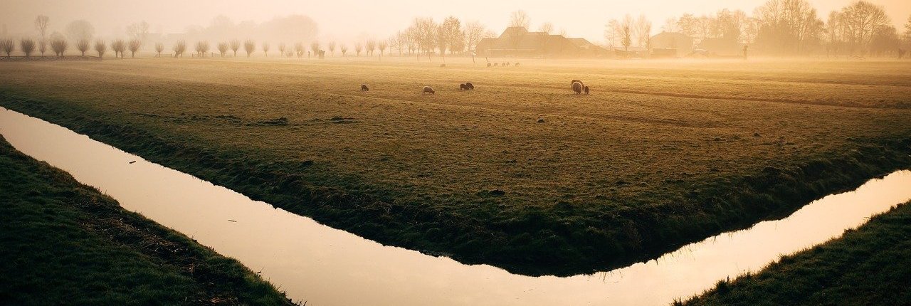Il CREA sta utilizzando il carbone vegetale (biochar) per ridurre l'uso di acqua nei terreni agricoli. Foto di tookapic da Pixabay