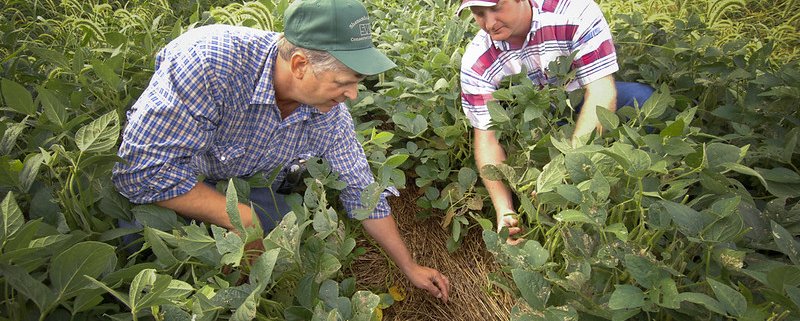 U.S. soils devoted to grazing and agriculture are in critical condition as a result of long-term processes. Photo: U.S. Department of Agriculture (USDA) Attribution 2.0 Generic (CC BY 2.0)