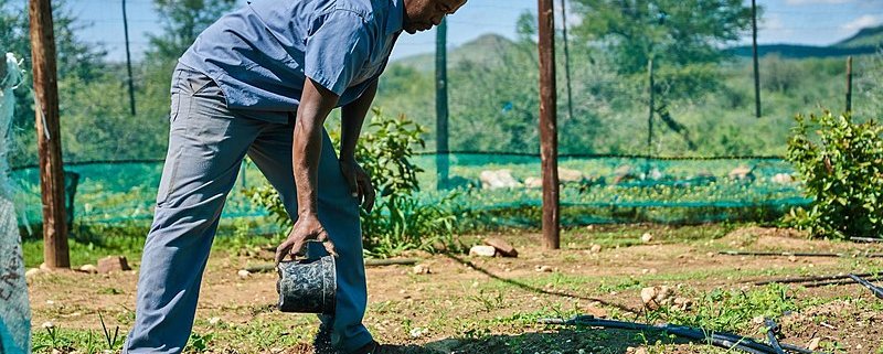 The application of biochar is one of the soil conservation best practices suggested by WEF. Photo: GIZ/Tim Brunauer Attribution-ShareAlike 4.0 International (CC BY-SA 4.0)