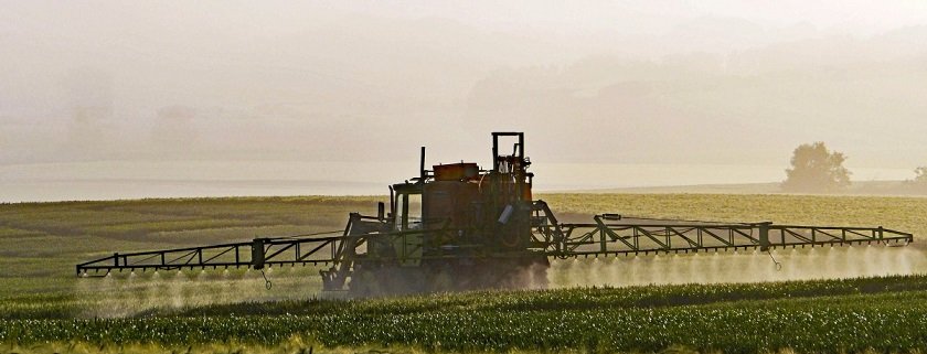 Pesticide contamination has been found on 87 percent of pears produced in Belgium, 74 percent of Spanish cherries, and 85 percent of Italian celery. Photo: pxhere Creative Commons CC0 Public domain Free for personal and commercial use No attribution required