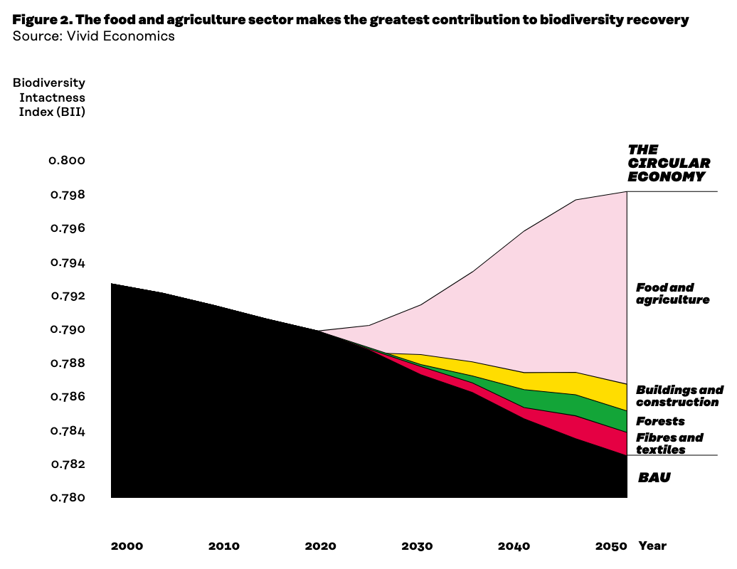 Il contributo della bioeconomia circolare nel recupero di biodiversità. FONTE: Tackling root causes - Halting biodiversity loss through the circular economy