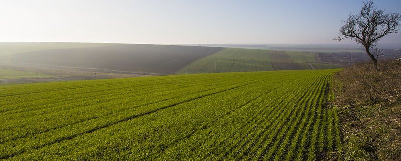 Secondo le stime i suoli europei conservano 34 miliardi di tonnellate di carbonio nei primi 20 centimetri di profondità. Foto: Jutta Benzenberg/World Bank Attribution-NonCommercial-NoDerivs 2.0 Generic (CC BY-NC-ND 2.0)