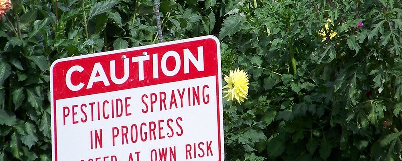 Fluorinated pesticides account for nearly 70 percent of all new pesticides introduced worldwide from 2015 to 2020. Photo: jetsandzeppelins Attribution 2.0 Generic (CC BY 2.0)
