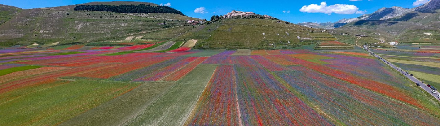 Nella foto, la piana di Castelluccio di Norcia in piena fioritura. Un simbolo dell'ambiente da preservare. FOTO: Matteo Berlenga.