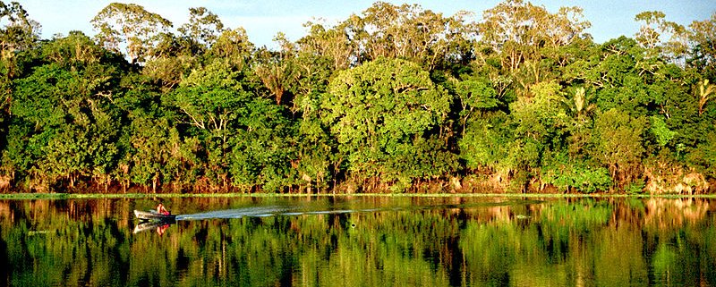 Protected areas in Brazil amount to 220 million hectares, or 51 percent of the Amazon. Extending protection over another 130 million hectares would cost no more than $2.8 billion a year. Photo: Andre Deak Attribution 2.0 Generic (CC BY 2.0)