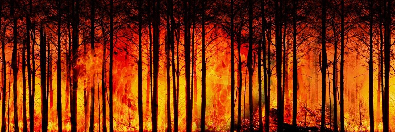 italia incendi fiamme fuoco