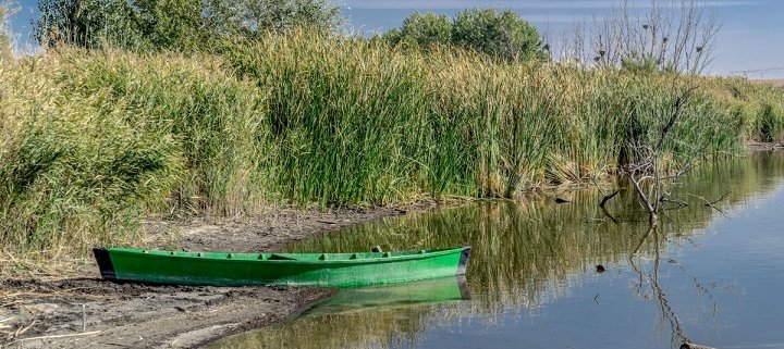 La siccità sta avendo un impatto senza precedenti in tutta la Ue. Foto: CC0 Public Domain Free for personal and commercial use No attribution required