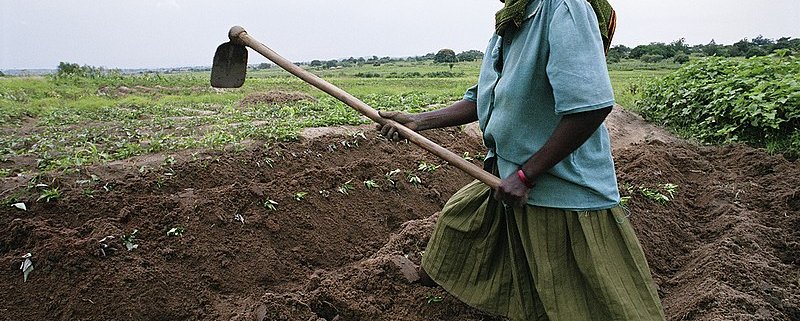 Lack of mechanization remains a widespread problem for Africa. Photo: Kabai Ken Attribution-ShareAlike 4.0 International (CC BY-SA 4.0)