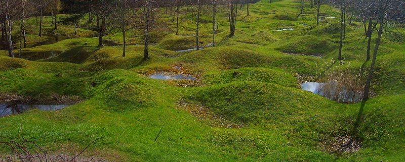 Contaminated land in Verdun, northern France. The effects of soil contamination in World War I battlefields are still clear more than a century later. This a precedent that scares Ukraine and global agriculture. Photo: public domain