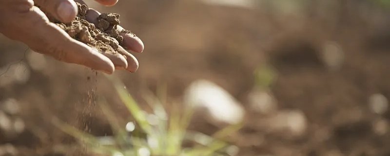 L'agroecologia è una disciplina olistica che riconosce un legame diretto tra la salute dell'agricoltura, del suolo e degli esseri umani. Foto: rawpixel CC0 1.0 Universal (CC0 1.0) Public Domain Dedication