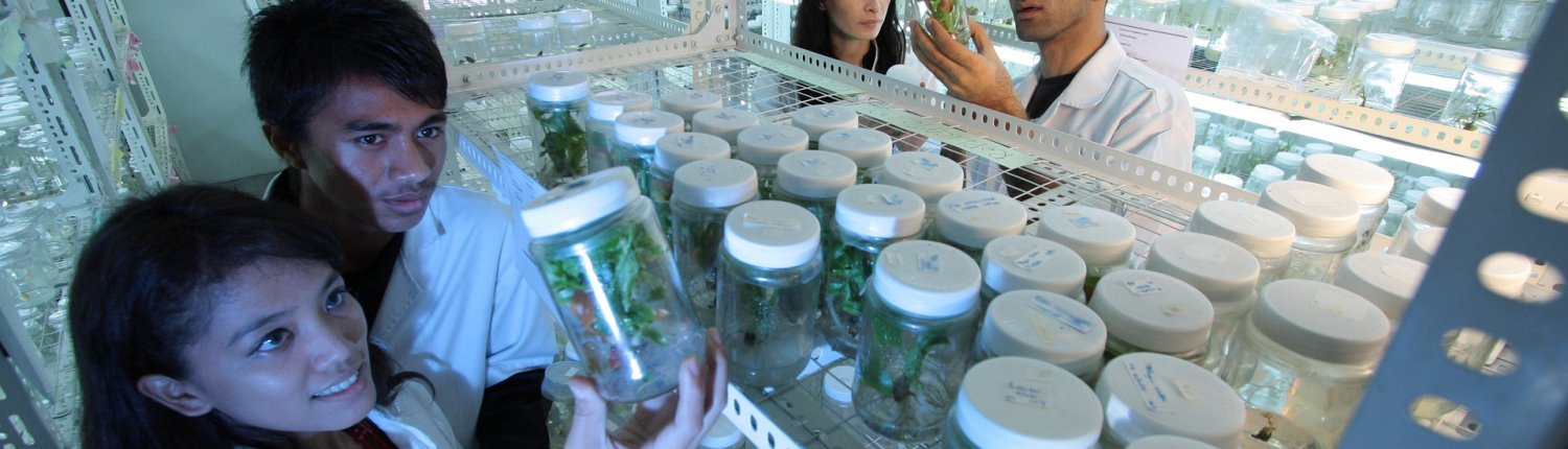 Il booklet pubblicato dalla Fondazione PRIMA contiene tutti i progetti vincitori dei bandi 2021. FOTO: felixioncool da Pixabay